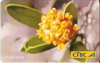 CTBC-T-0786 - Flores do Cerrado - 1/8